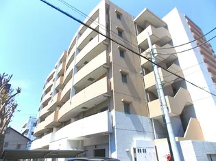 クウィンス トキワ ウラワの画像