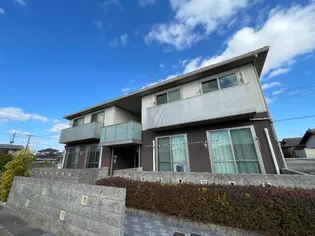 アネシス アイ II Bの画像