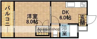サンリバーM【5階】の間取り