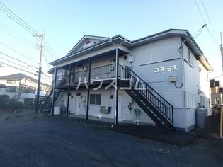 コスモスの画像