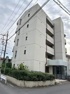 バーディーハイツ【4階】の外観