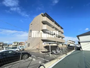 ロイヤル栄光の画像