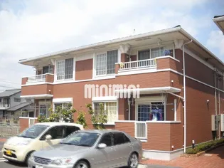 ミルト Cの画像