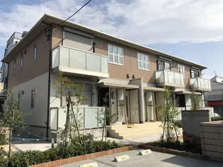 SHAMAISON ローズマリーの画像