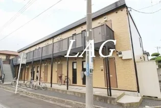 アムール ハルディーン ディ パライソの画像