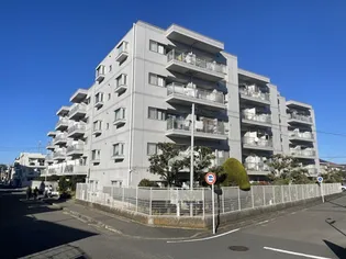 アクトレスフタバの画像