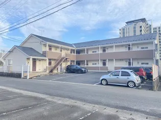 グレース鹿野の画像