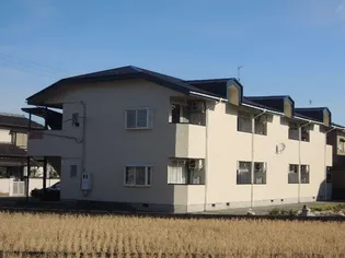 シャルマンの画像