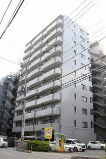 スカイビュウ11の画像