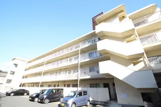 ルービンスくるめ木の画像