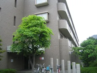 ラフィーネ壱番館の画像