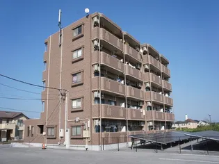 YMジェイドの画像