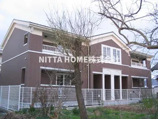 プリムローズの画像