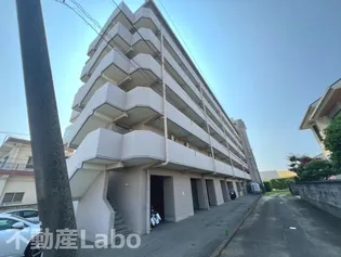 徳島県板野郡松茂町満穂字満穂開拓【マンション】の外観