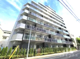 レアライズ清澄白河の画像