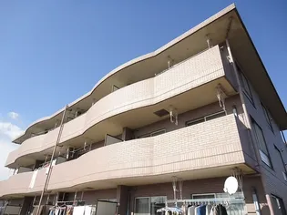 モンレーヴ染地【3階】の外観