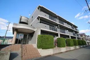 エクセランビラの画像