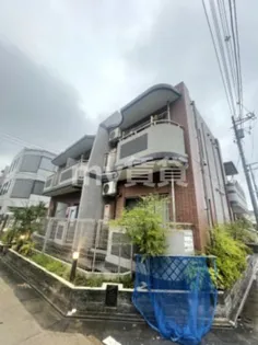 サンゼル田柄5の画像