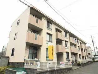 ハイムサエグサの画像