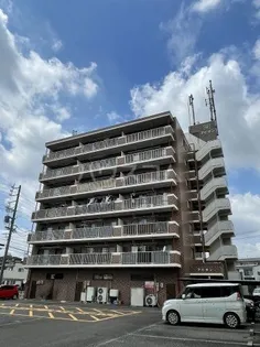 アピオンの画像