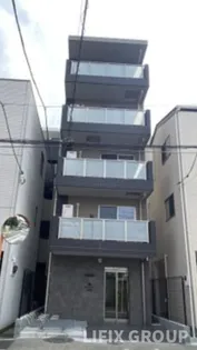 MAXIV蓮根の画像