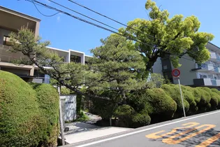 APARTMENT樟風館の画像