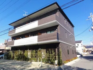 COURTESYの画像