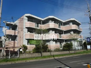 パラシオンの画像