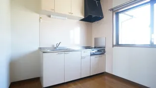 メゾン・ツイン・フィールズ D【2階】のキッチン