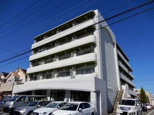 コーラルトップの画像