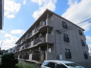 ピースIIの画像