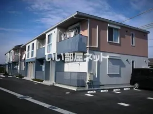 シャルマンAの画像