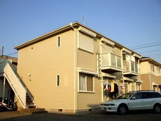 ノーシェリアの画像