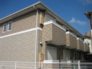 アムールの画像