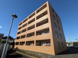 MYRSINA FOLIAの画像