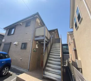 サンフラワーヤワタBの画像