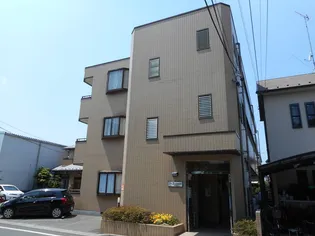 ビーブラウンの画像