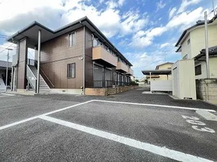 ステラの画像