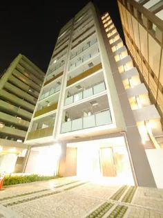 DORMOUSE 和の画像