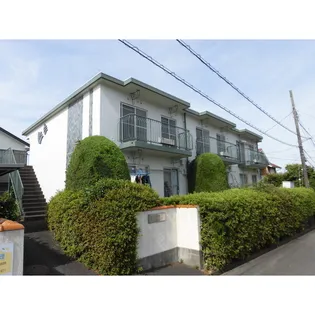 サンホワイトMの画像