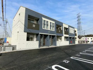 プルメリアの画像