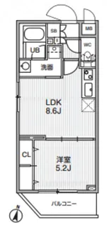 Dimus勝どき【8階】の間取り