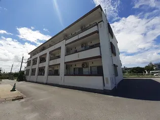 Dream Palace 邦【2階】の外観