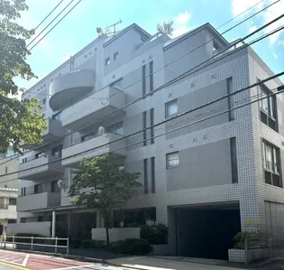 シャネックスの画像
