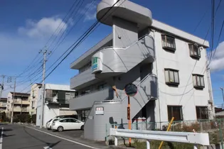ロイヤル井野【3階】の外観