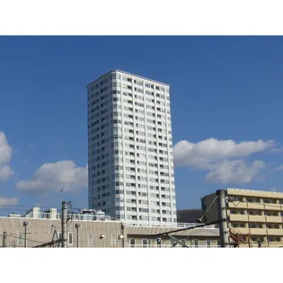 セインツ 25の画像