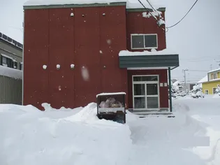 スカイコートの画像