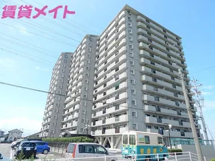 ラウムズ白子の画像