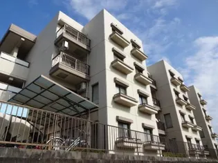 テピカルイブ 3の画像