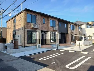 カシータ松葉の画像